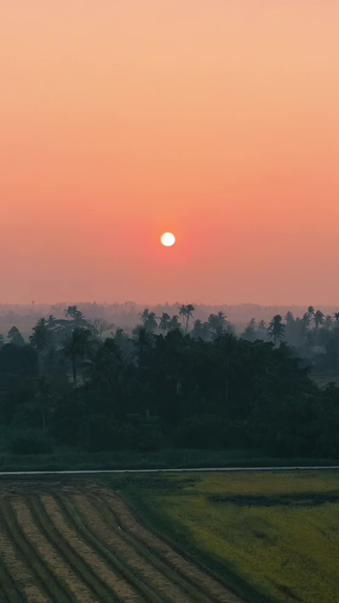 @OrenOais 🍊