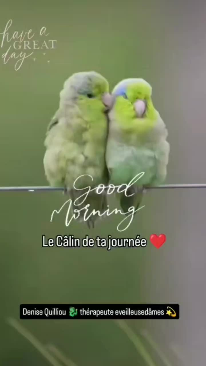 @Lauret Denise ✨🐉✨