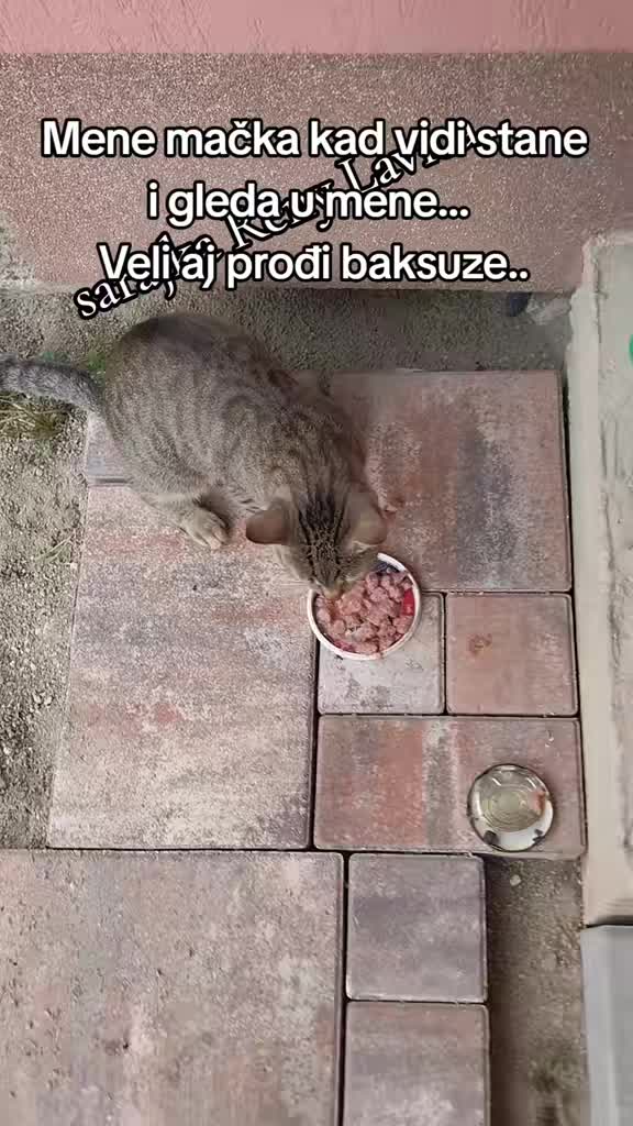 @🖤 SARAJKA BORBENA LAVICA ♥️
