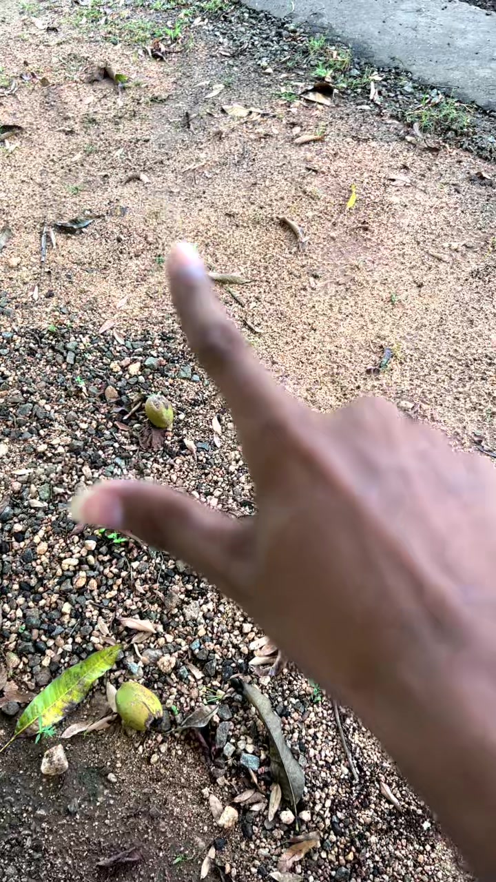 @nethra.dissanayake0