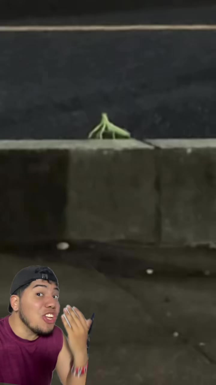 @Soy Sebassalvaje (d&uacute;os)