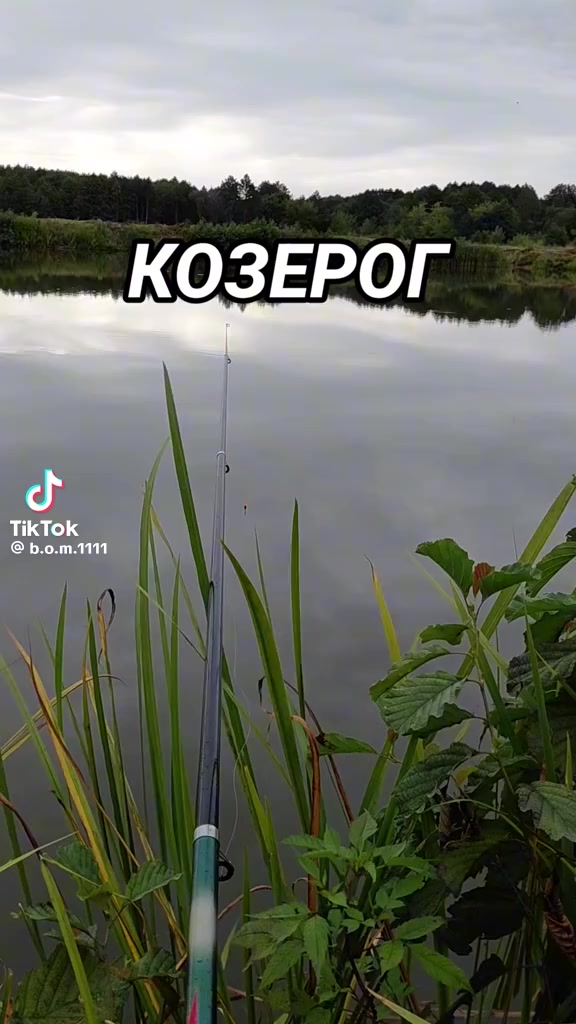 @Паша