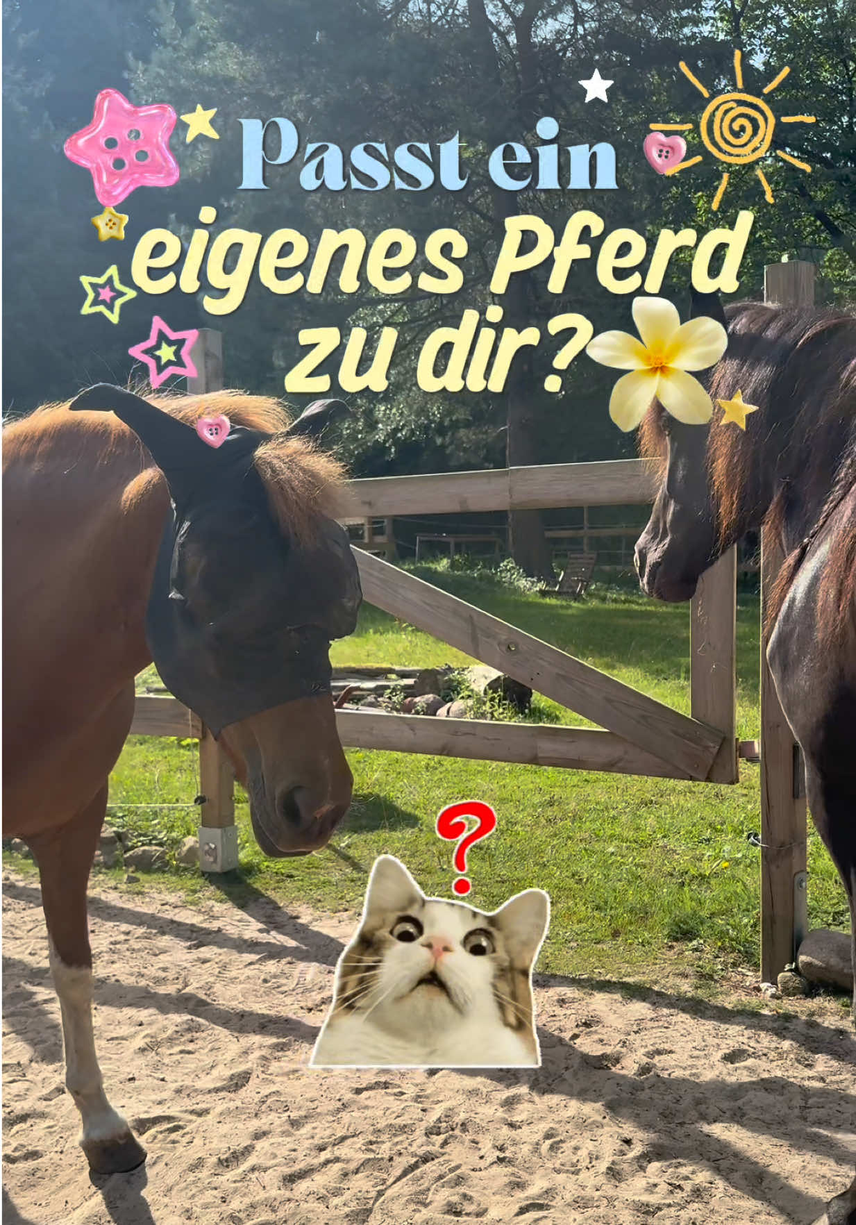 @Pferde Paradies