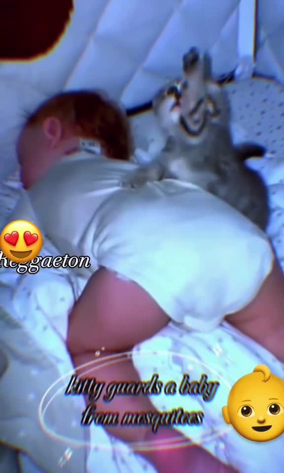 @kurepin0888