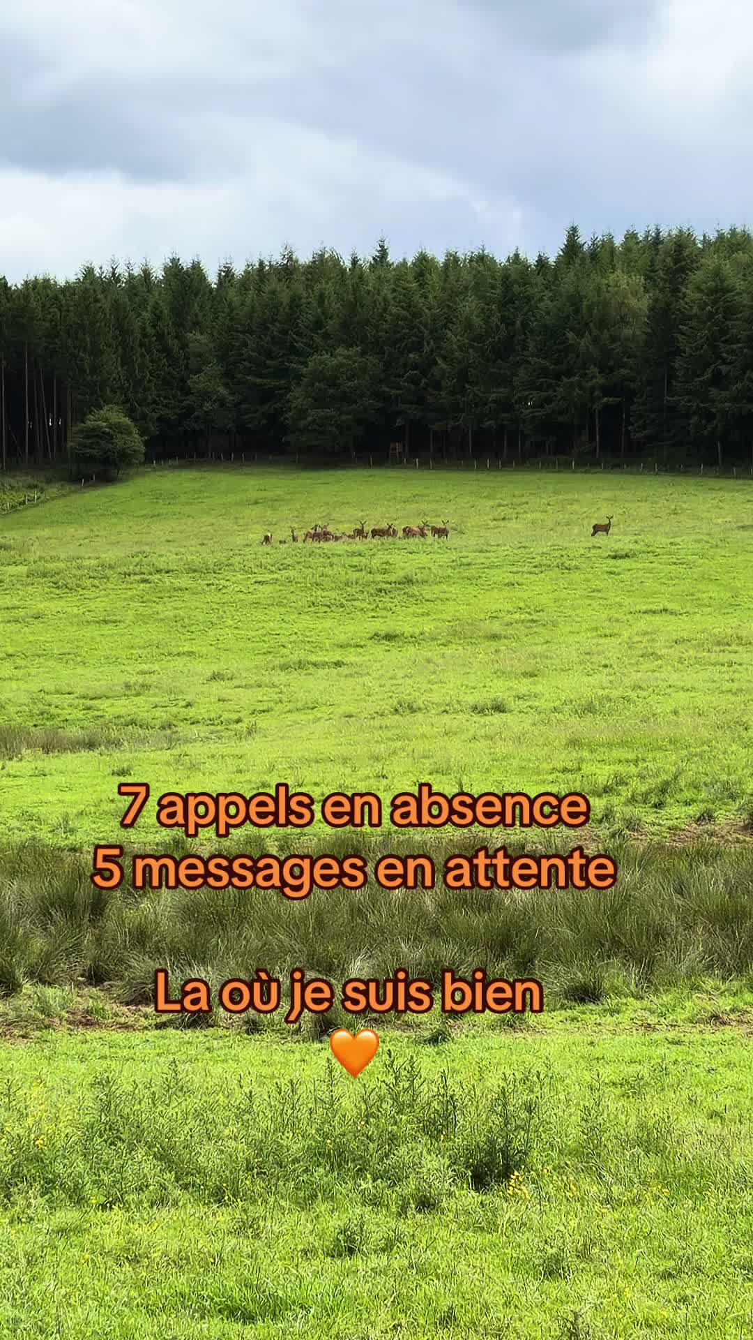 @micka 🐗