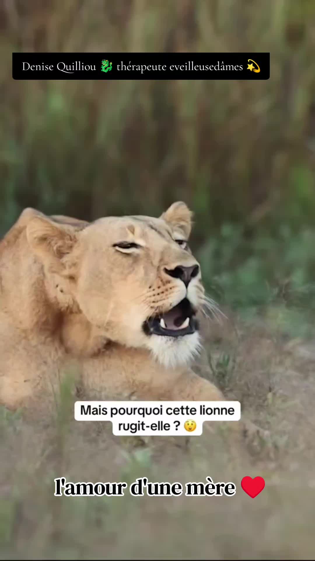 @Lauret Denise ✨🐉✨