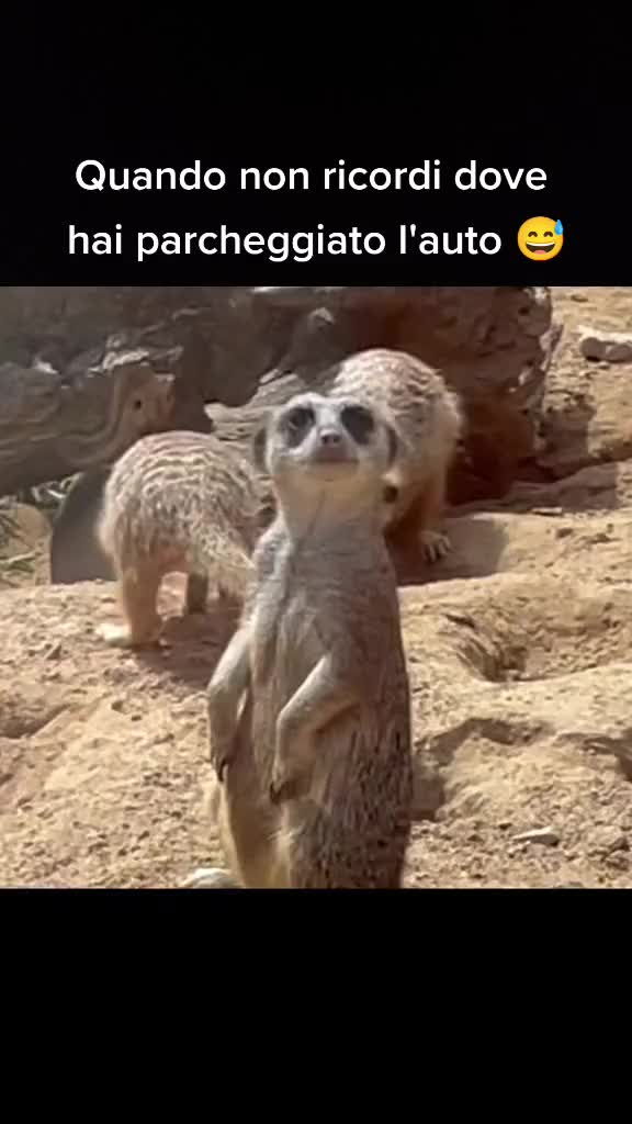 @ilmanu75