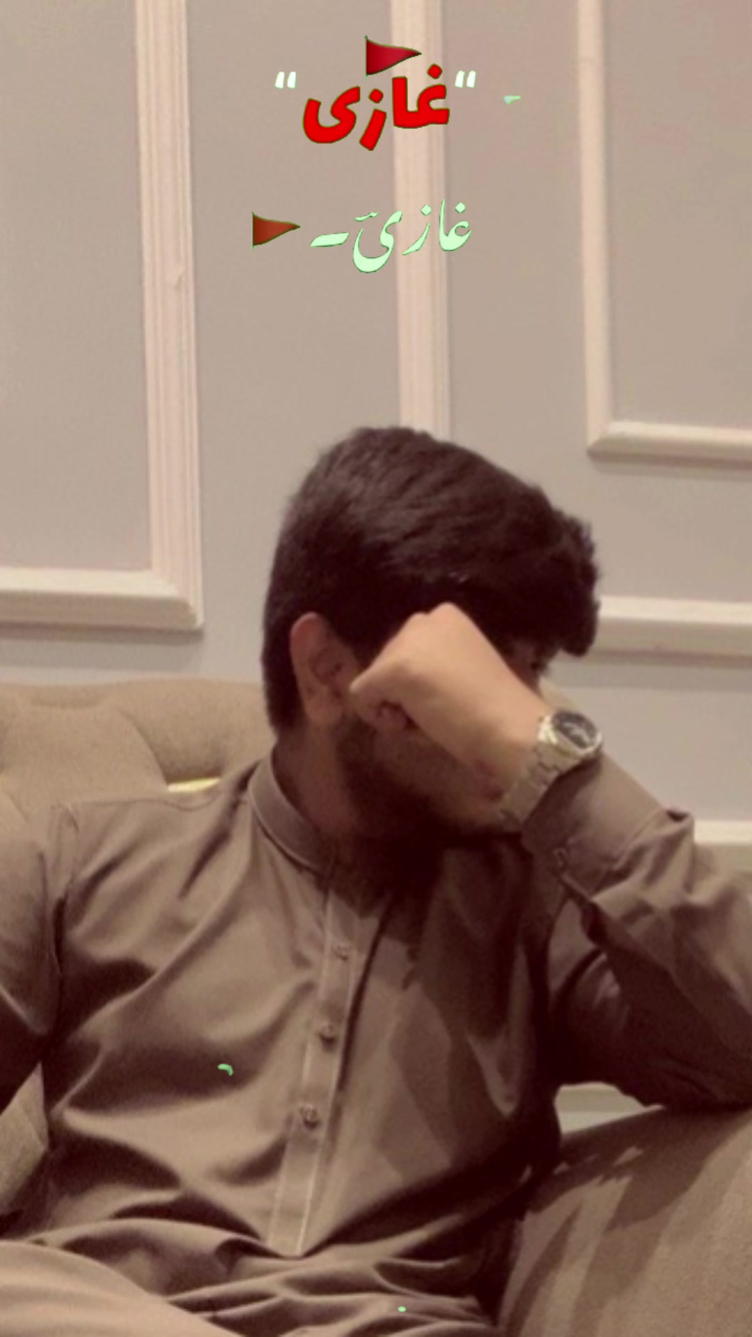 @Shayan Mehdi
