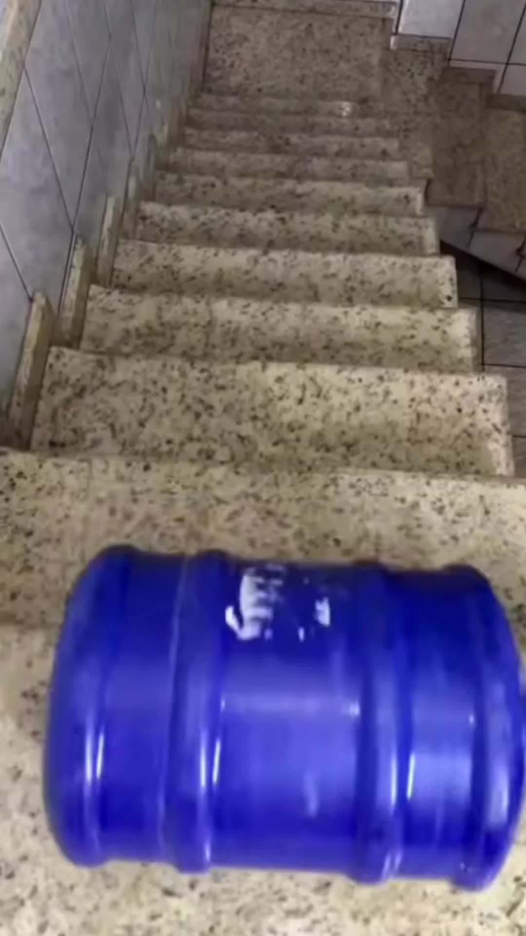 @Pet World Hub