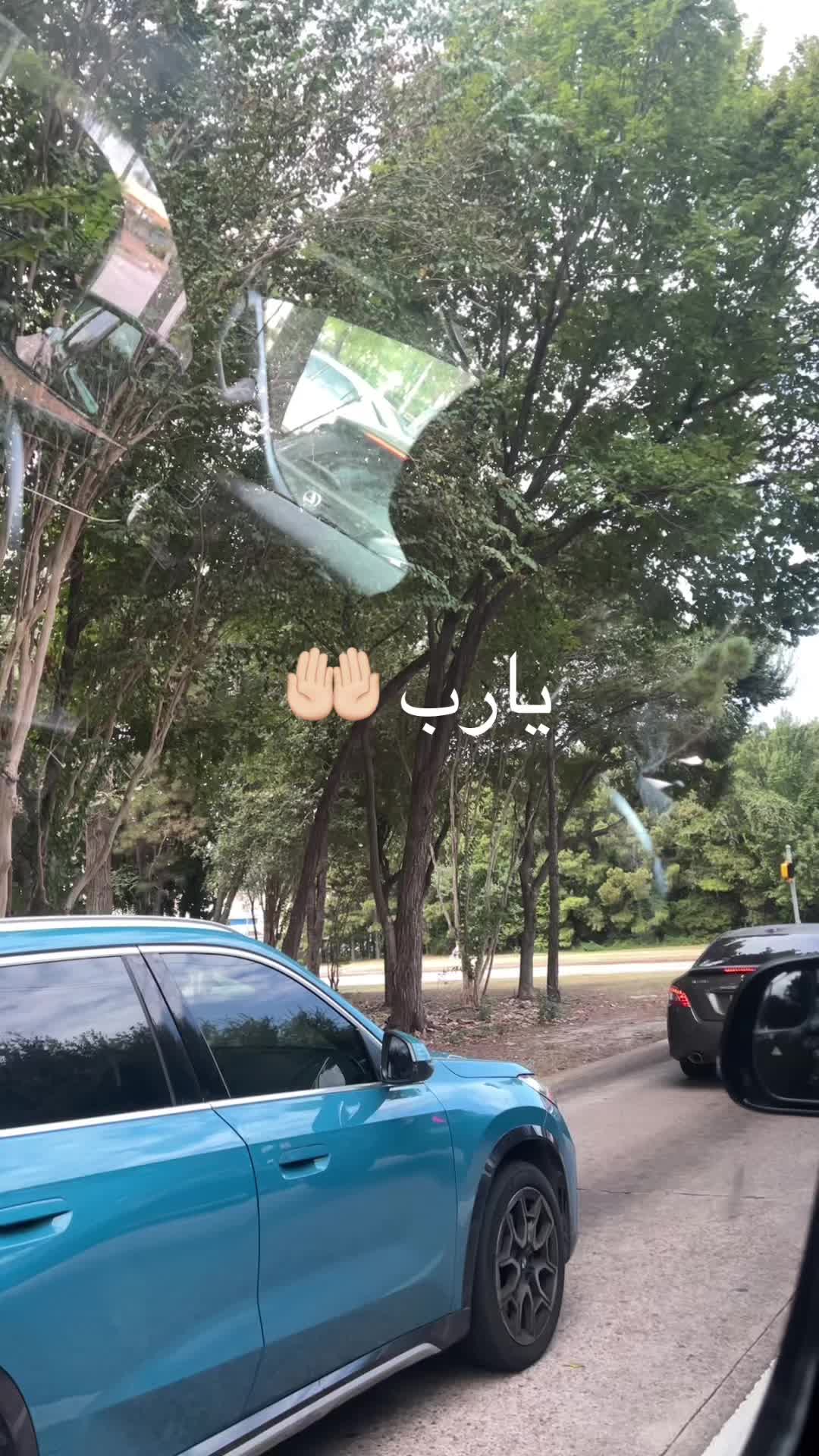 @Banoo✨🪻