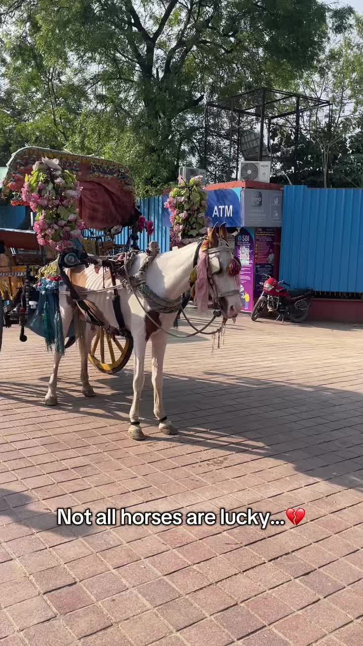 @equi.jcf