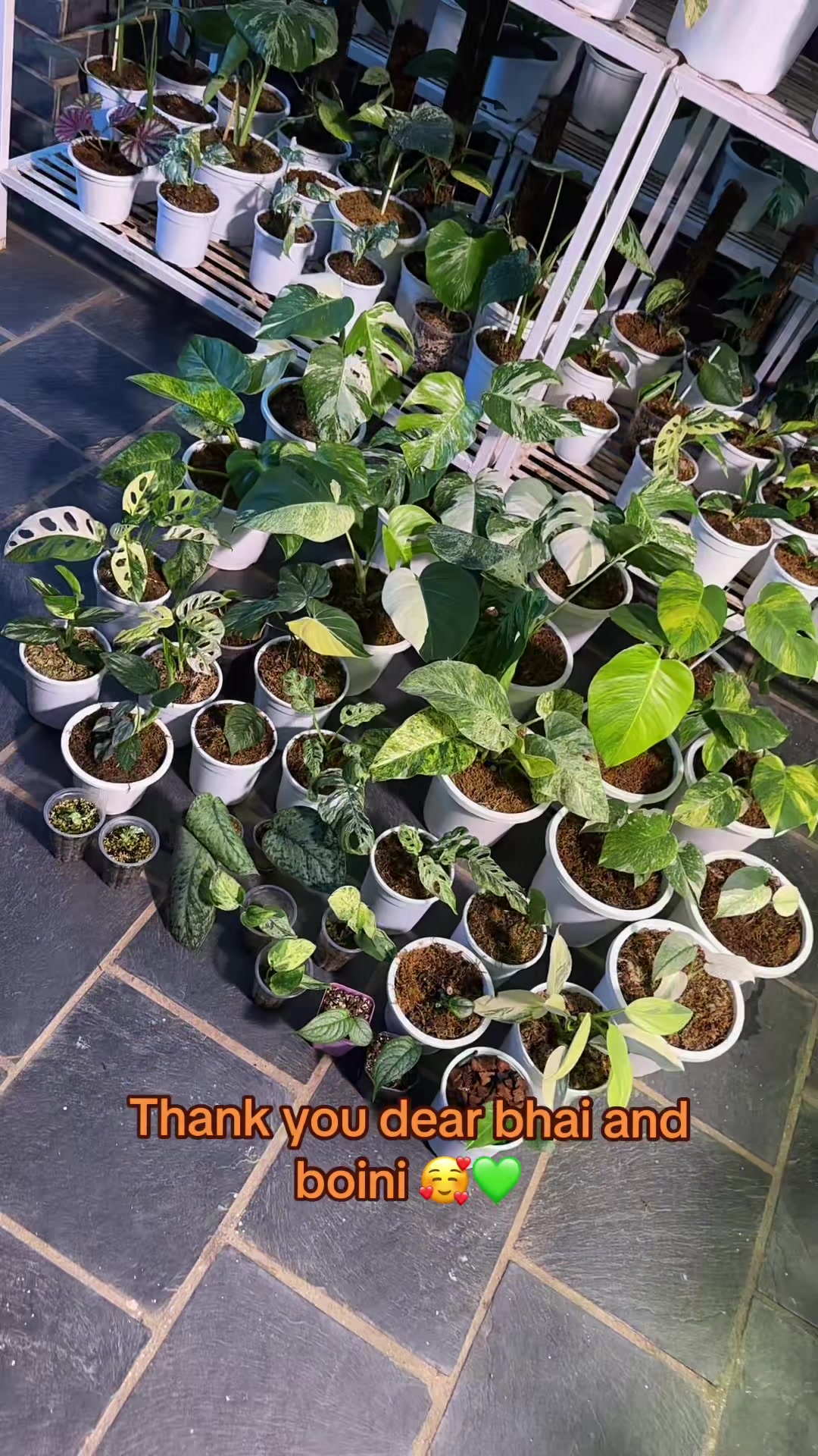 @Plantlife50