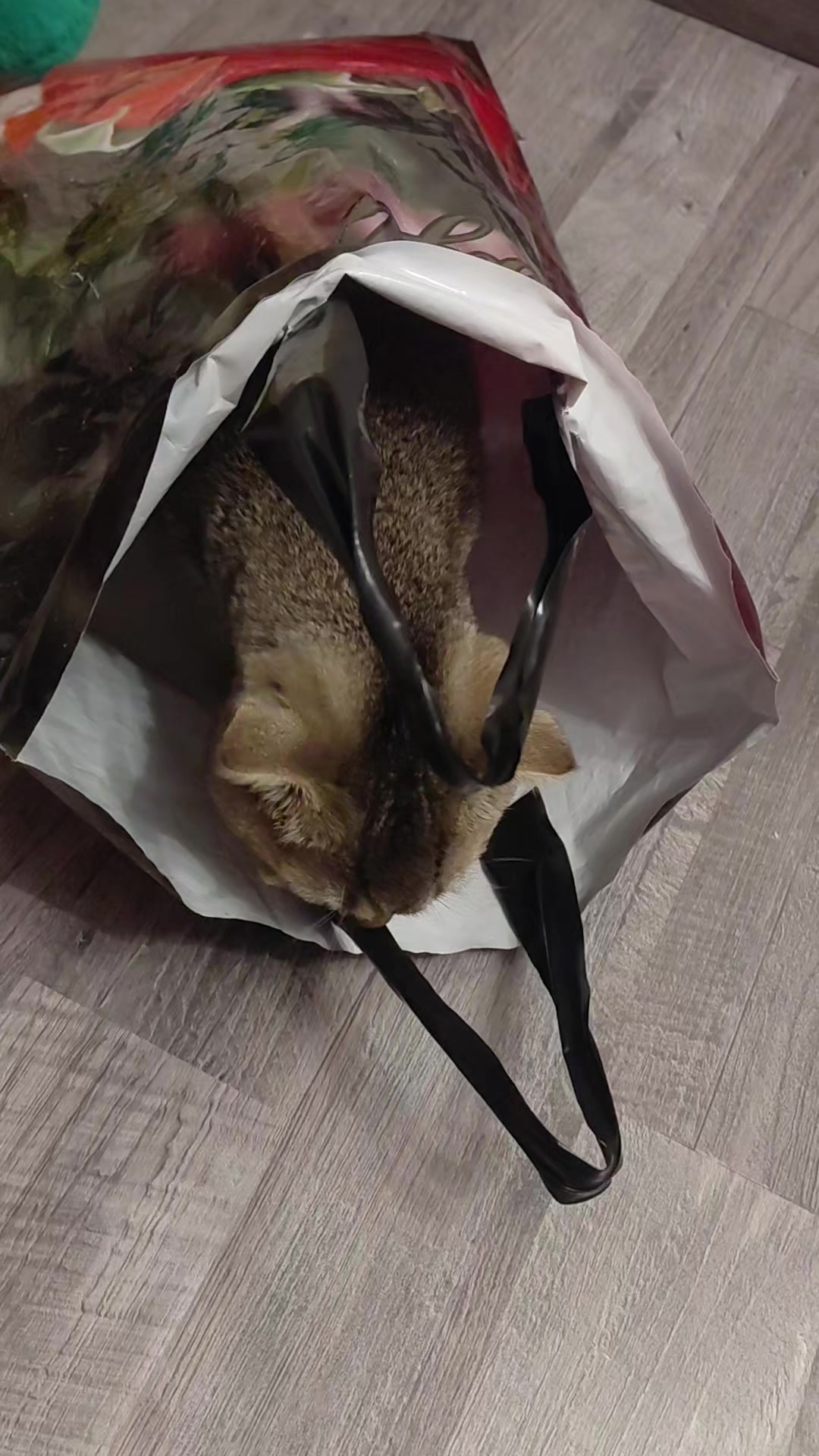 @моя жизнь