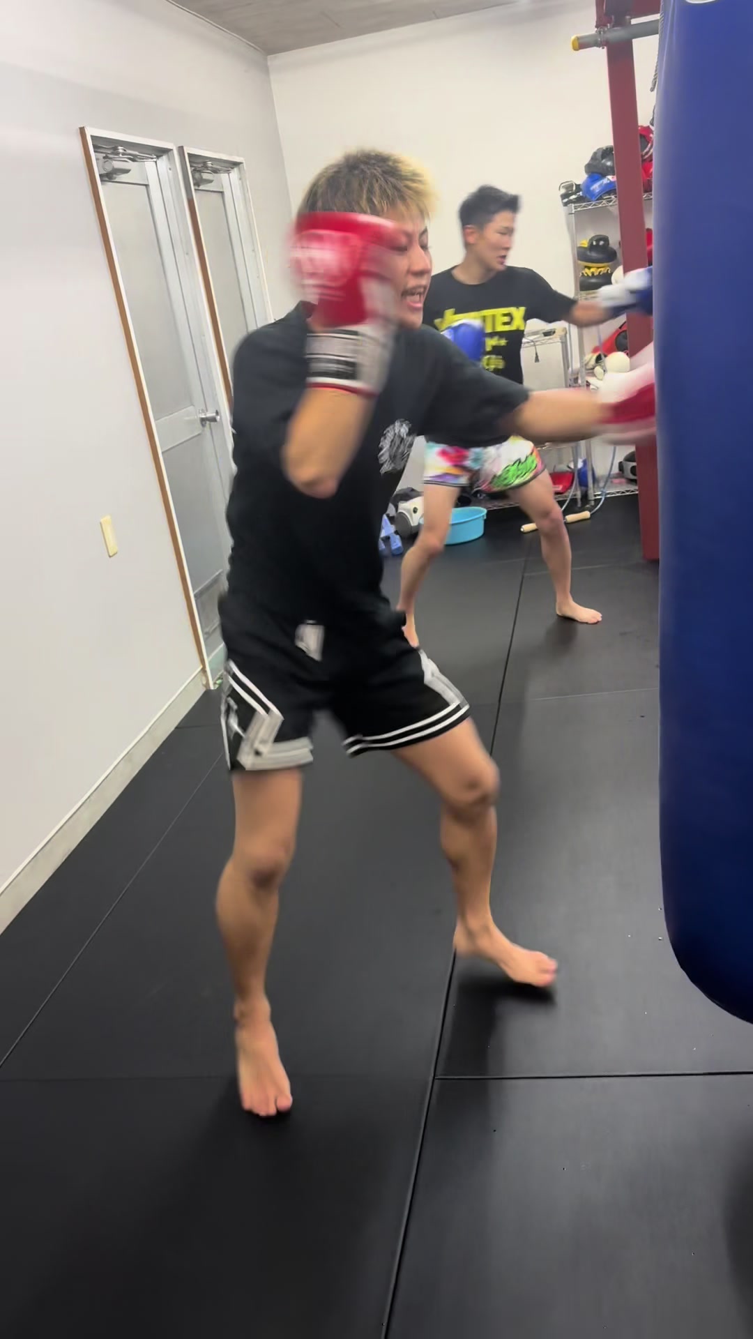 @VERTEXGYM
