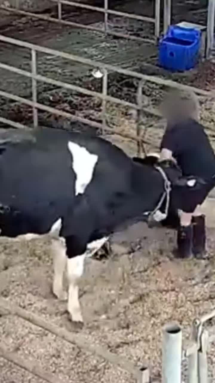 @advocate4animals