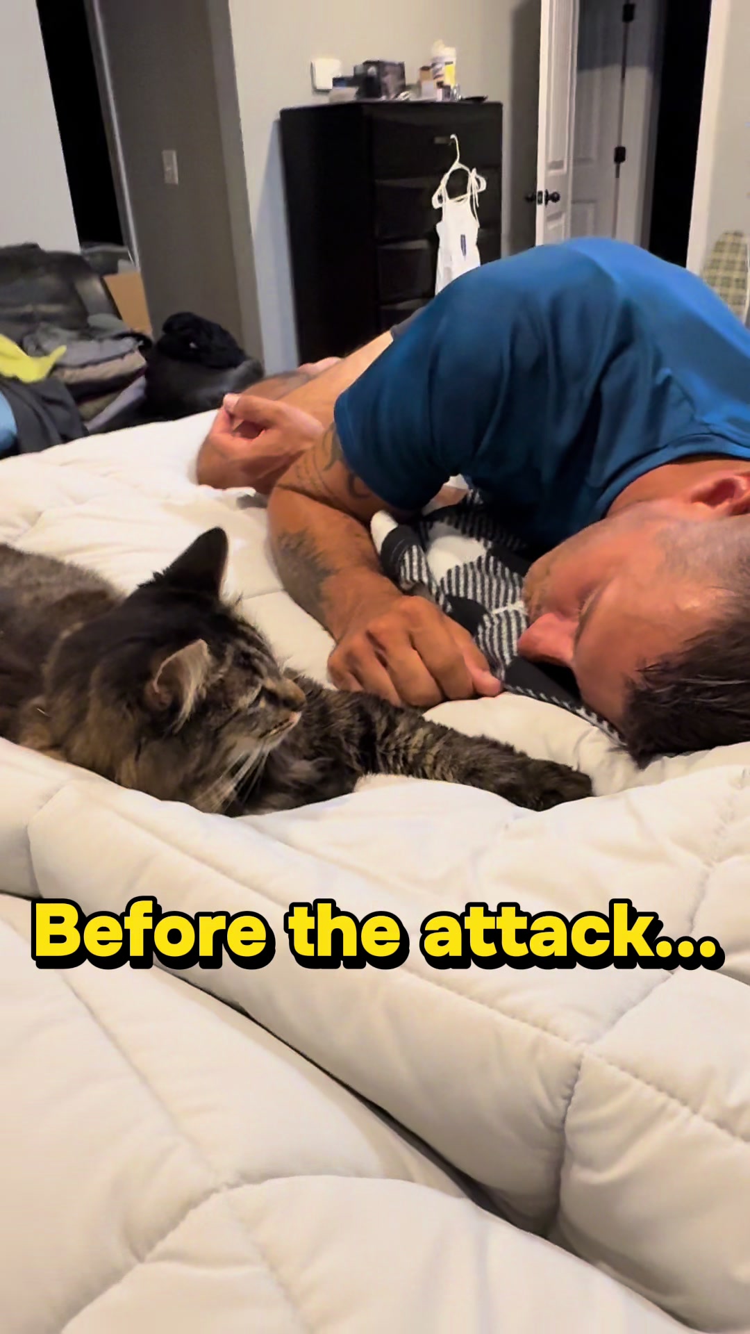 @RoxySnowballCatDrama