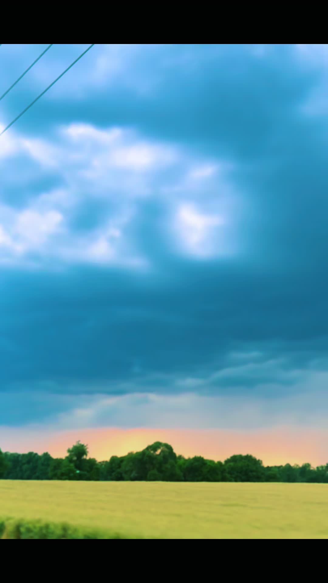 @a_bees_path2