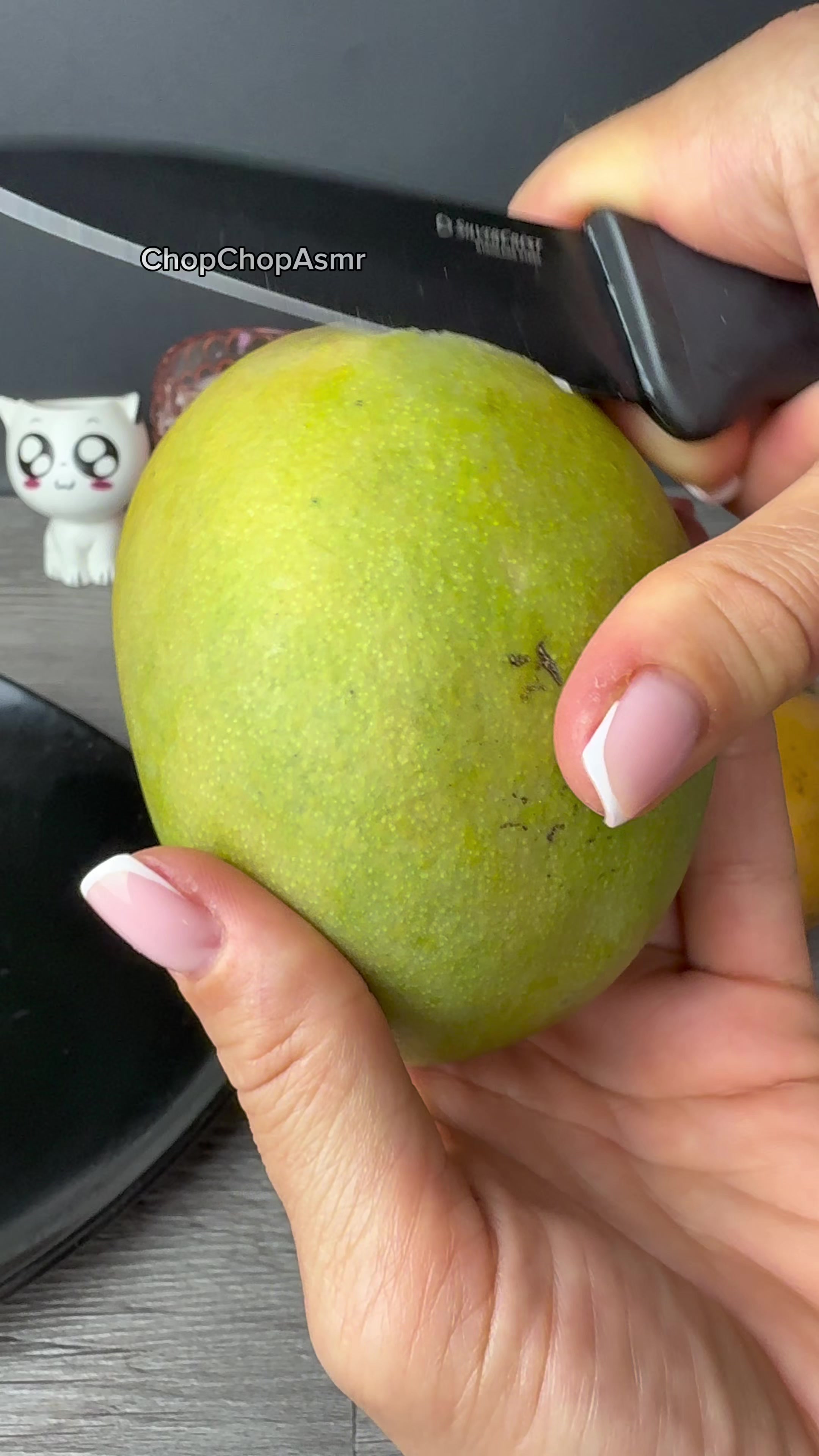 @ChopChopAsmr