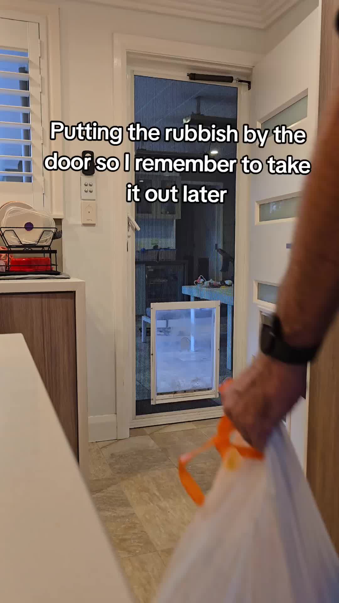 @Phoenix and Rex