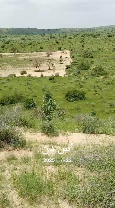 @S.S.L