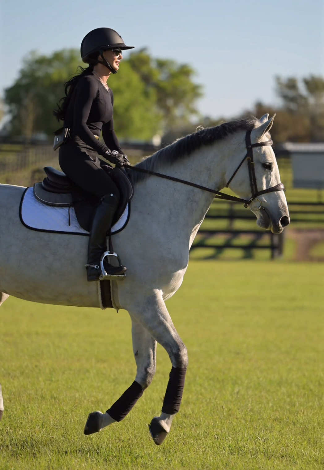 @Free Ride Equestrian