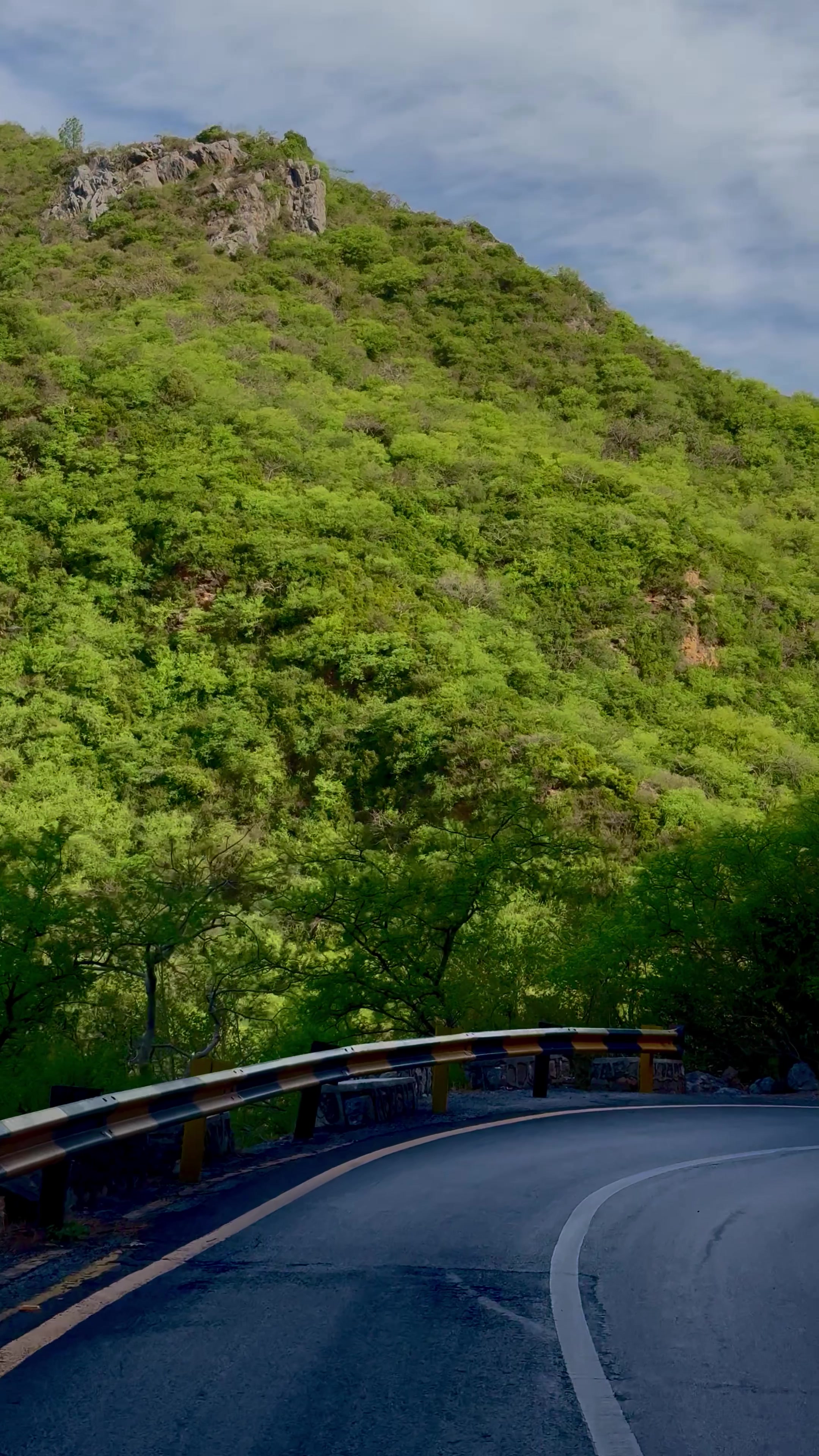 @𝐋𝐨𝐯𝐞-𝐋𝐢𝐟𝐞-OF-𝐈𝐒𝐁🍃