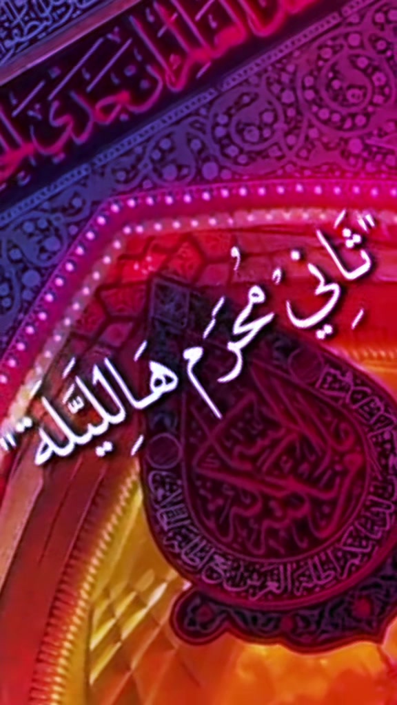 @أحمد أبو علي