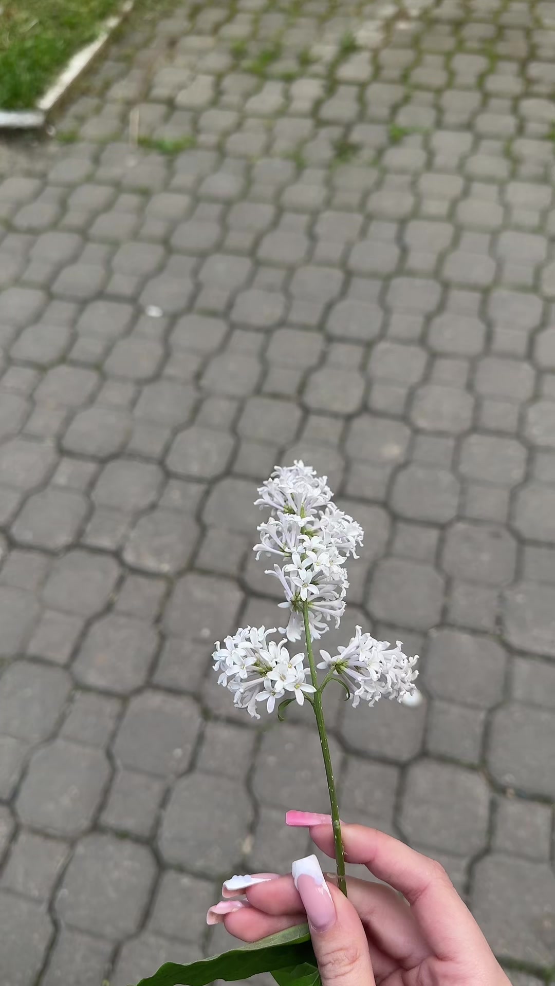 @евка