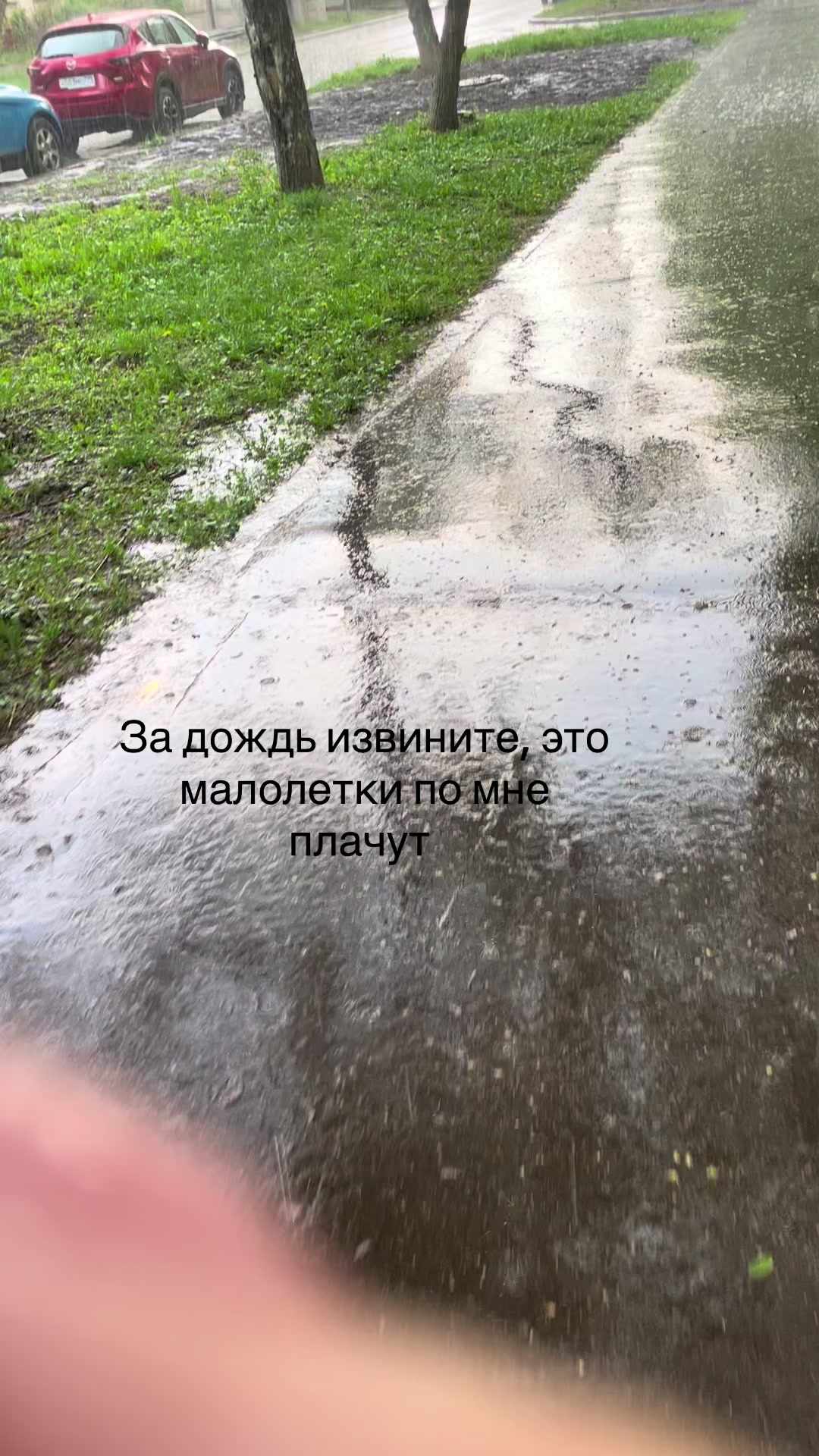 @Елена Фролова5420