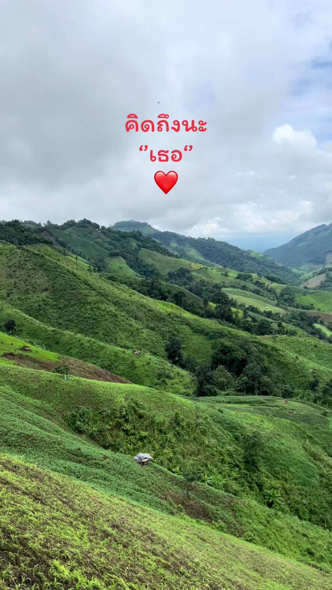 @Love JJ 🧸♥️🐻❄️