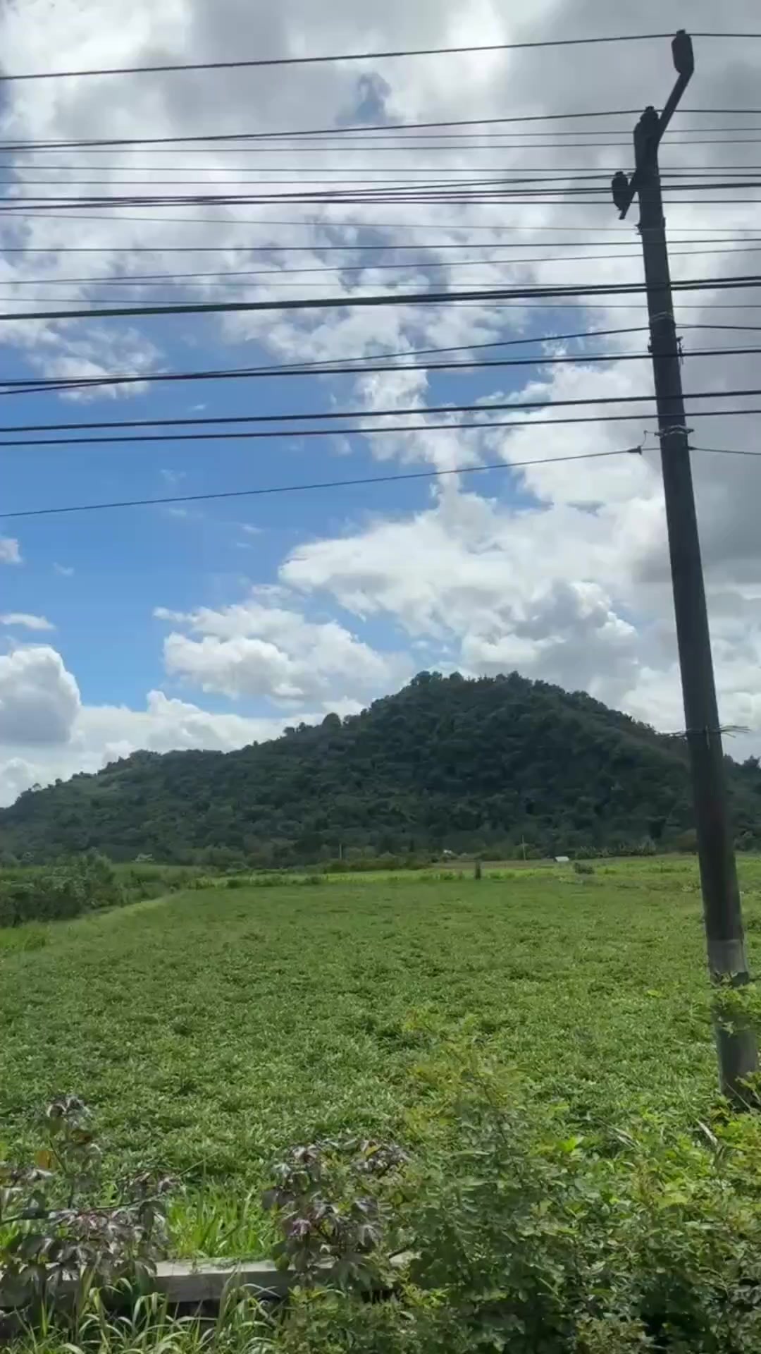 @dygidumpdump