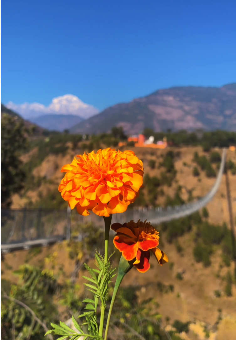 @ganeshexplore