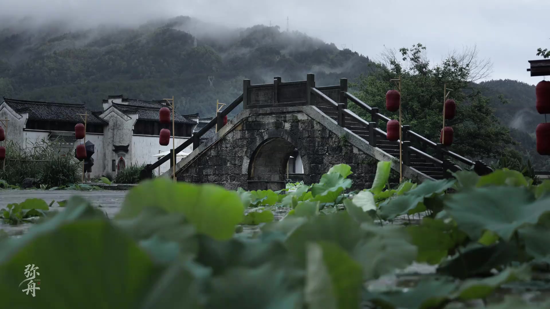 @竹丨《Trúc Ảnh》 🌿