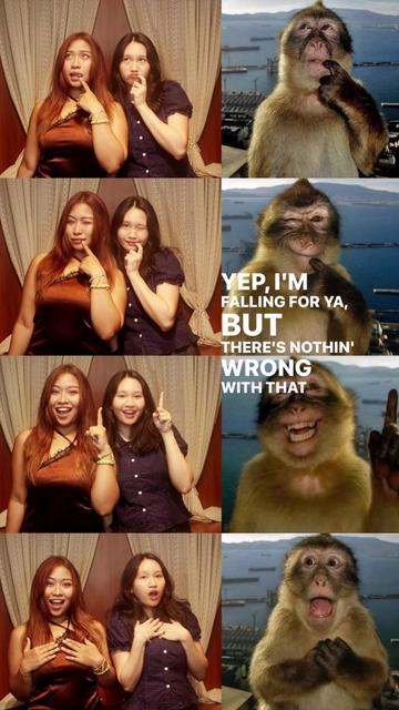 @Lily phoo