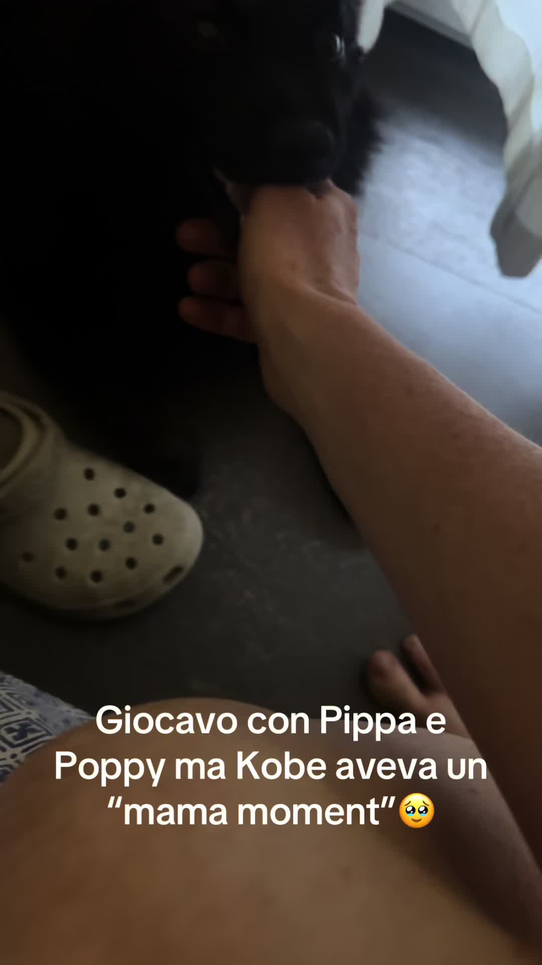 @Ashlin