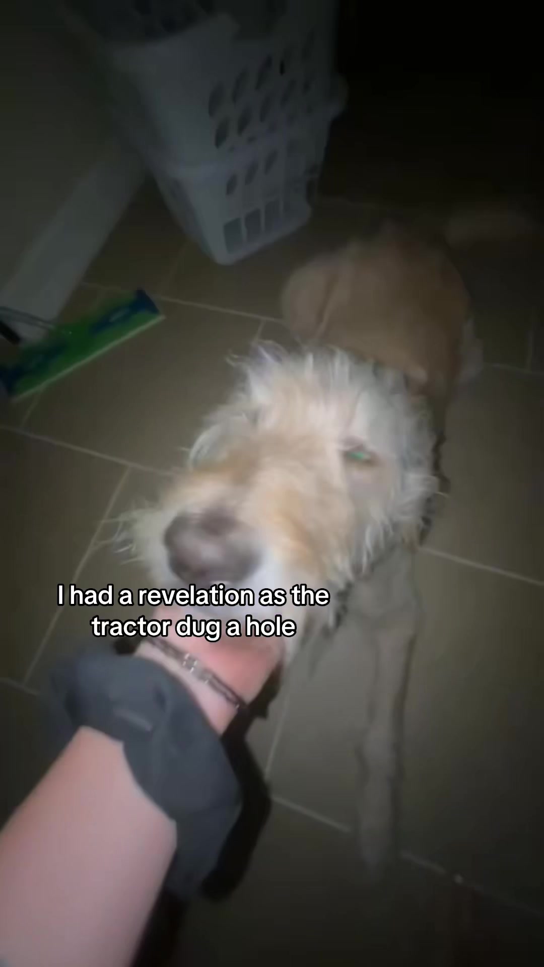 @Susie