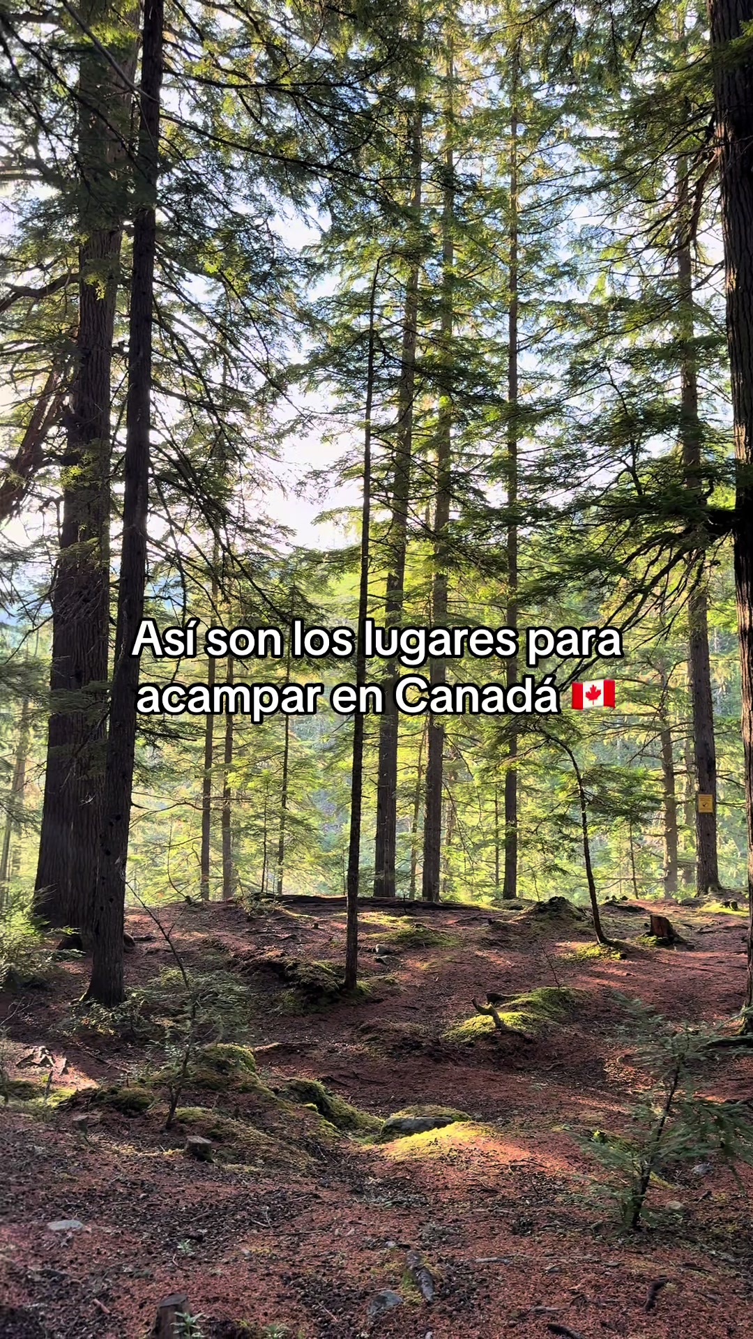 @Juan Sin Miedo Official