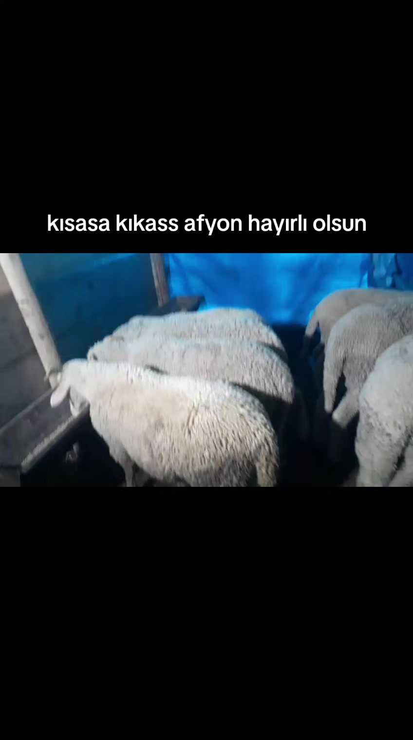 @Ahmet Guder