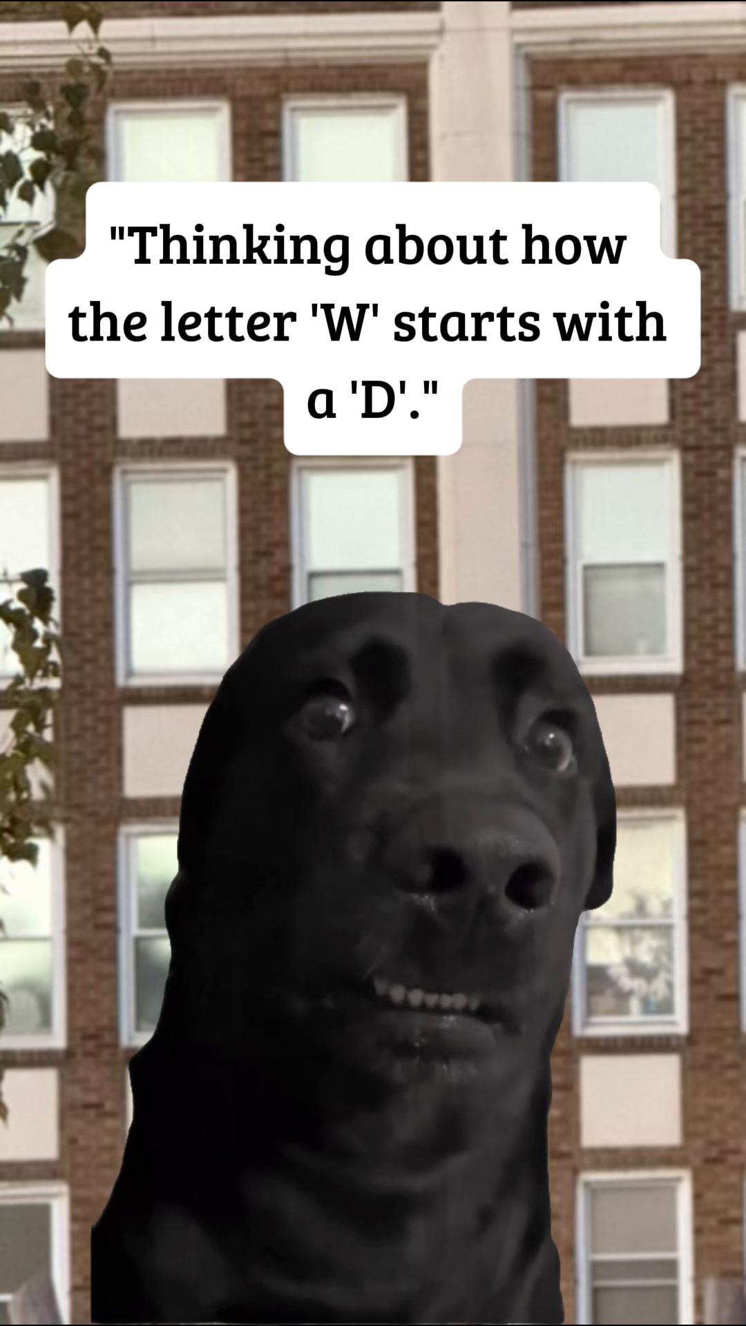 @🫶🏼𝕂𝕚𝕂𝕚🫶🏼