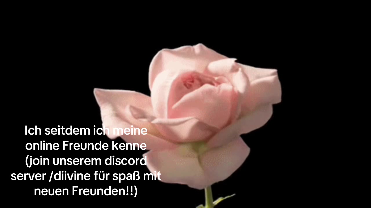@/diivine