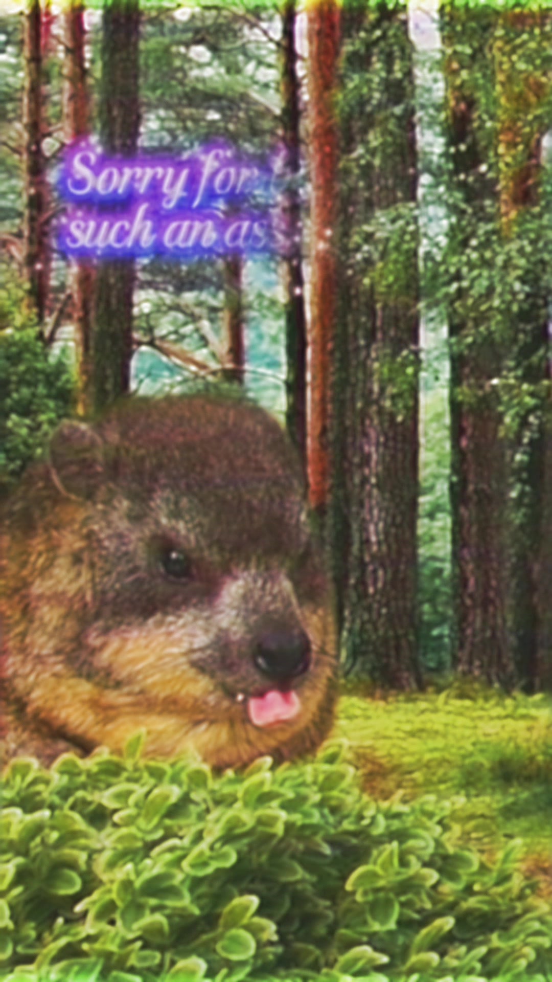 @Holy Frog Father