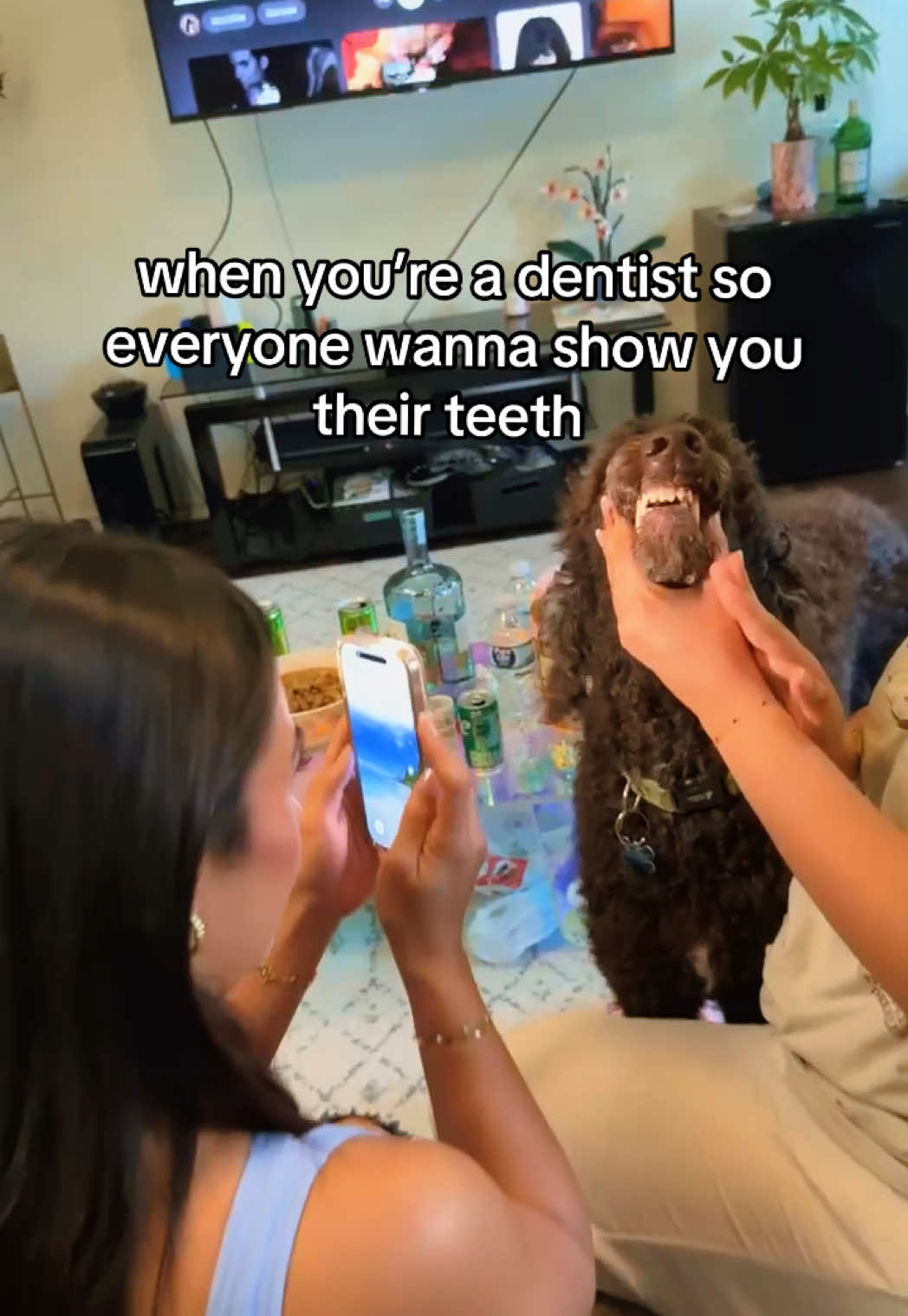 @Vivi 🩵