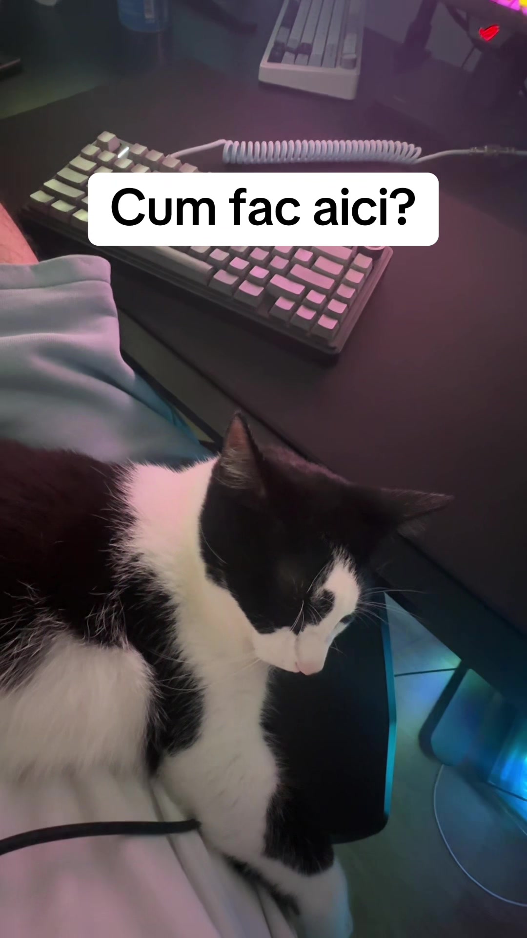 @Simplistu