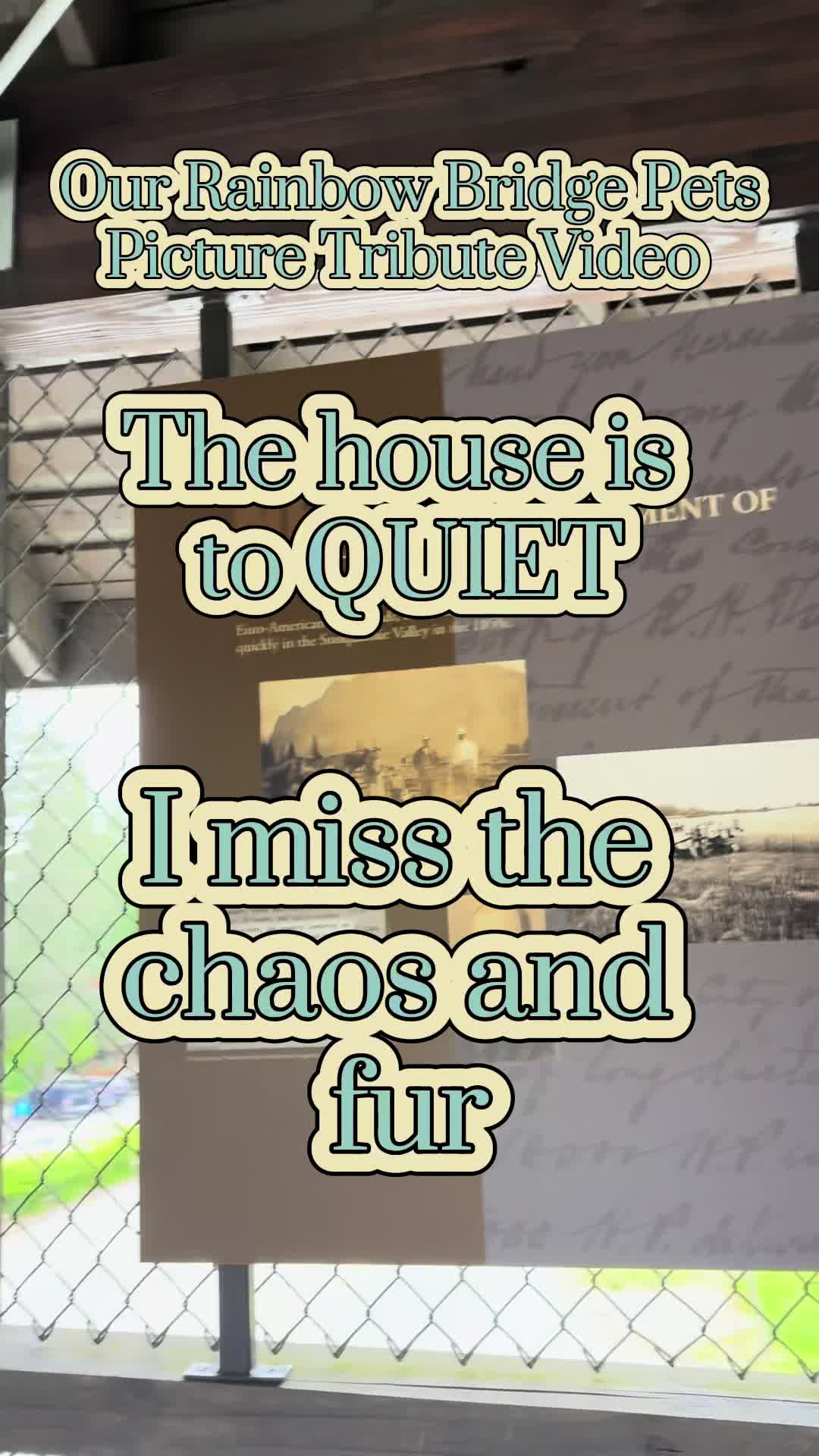 @OurRainbowBridgePets