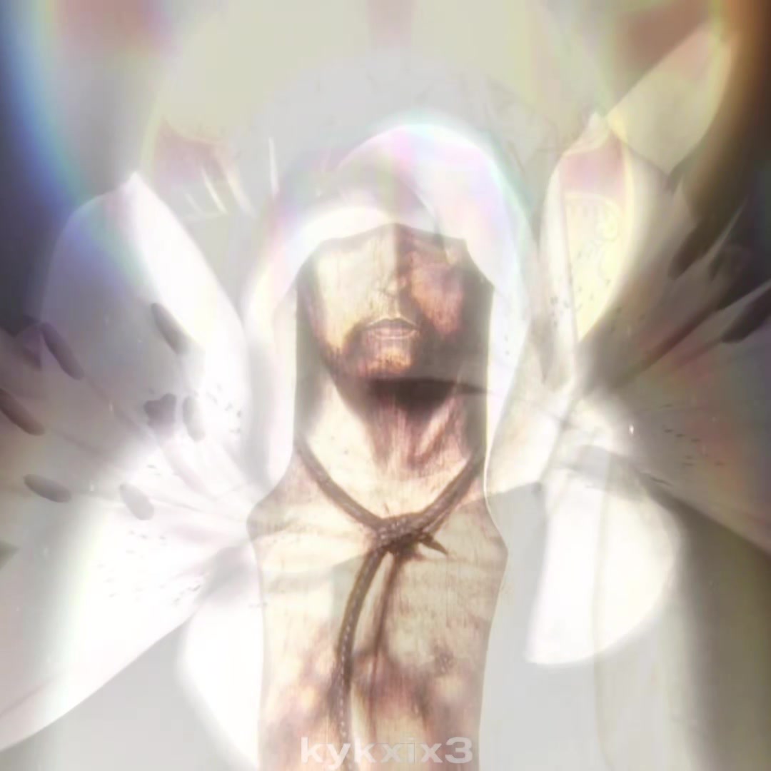 @✥𝚈𝚘𝚑𝚗✥