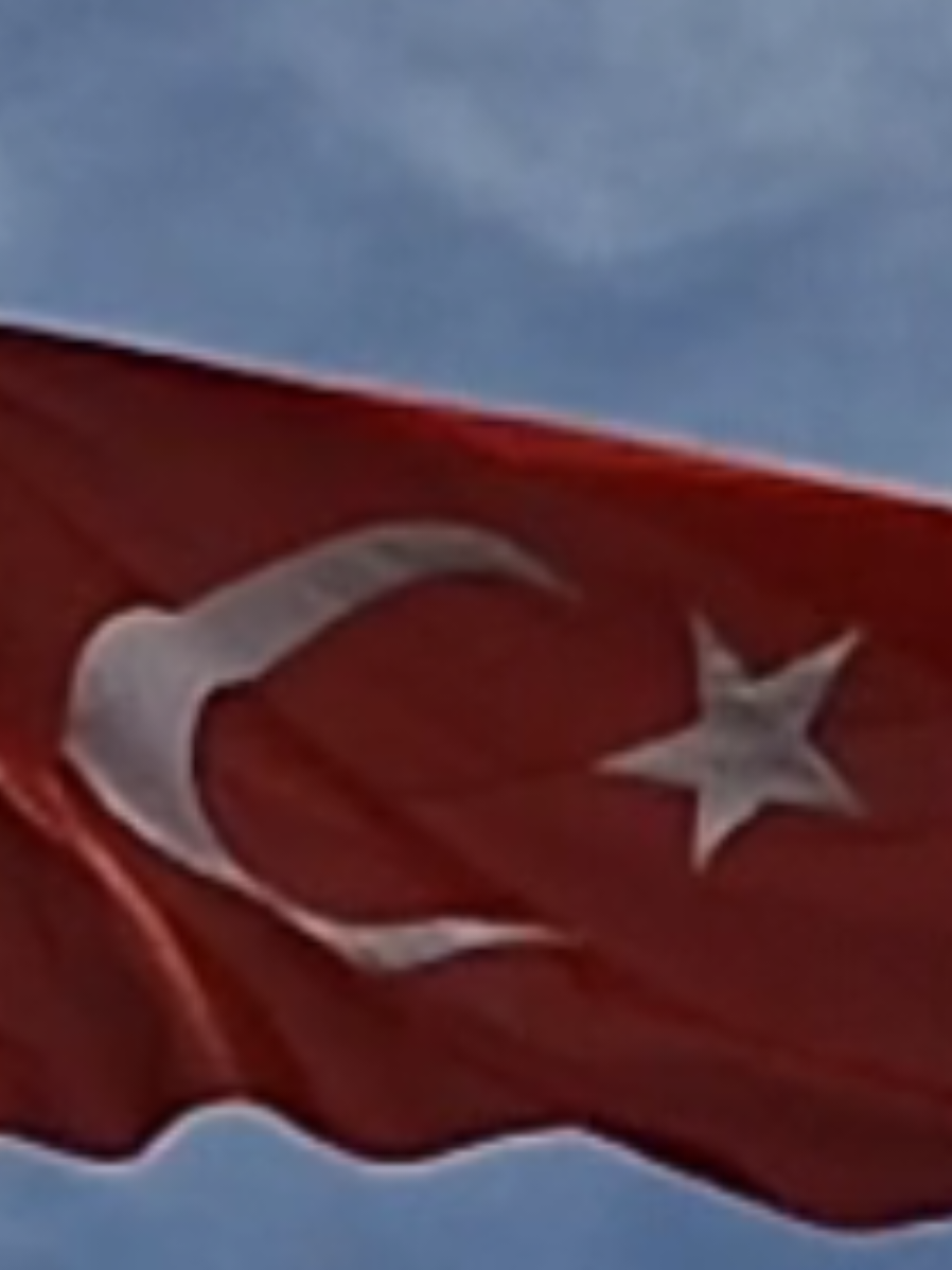 @Cuma Lemi Ulucay