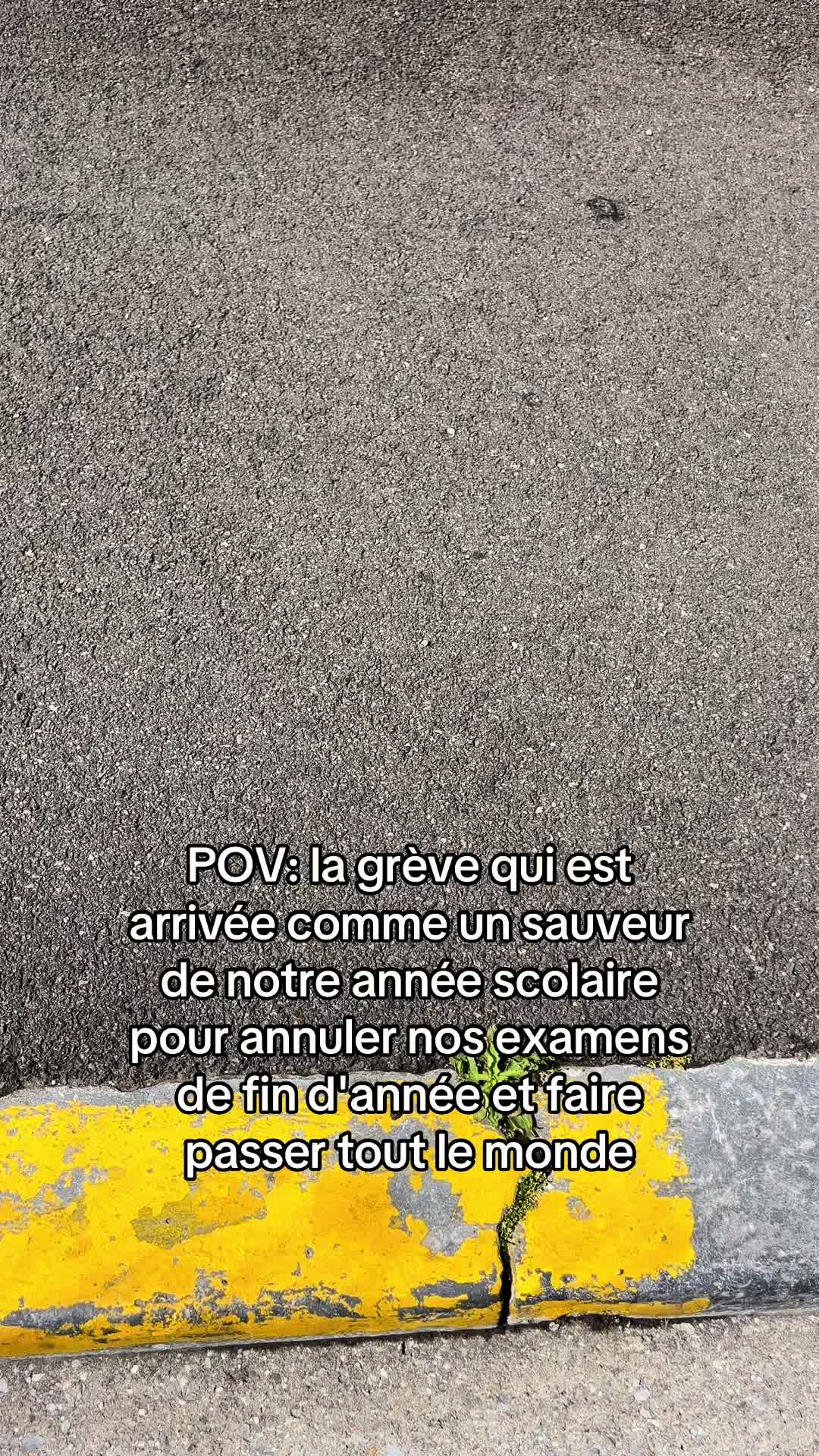 @M2t 🐈⬛