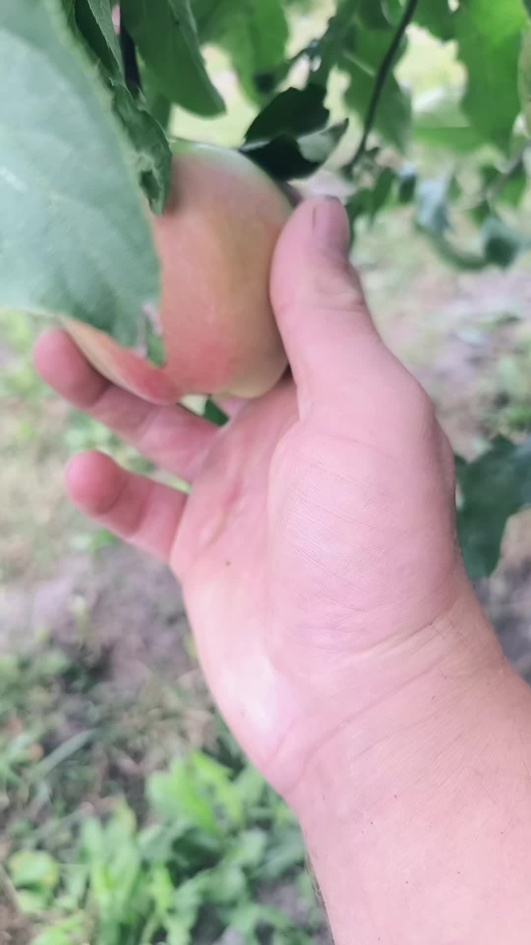 @PRO..PAN💪KOLYAN👁️💪