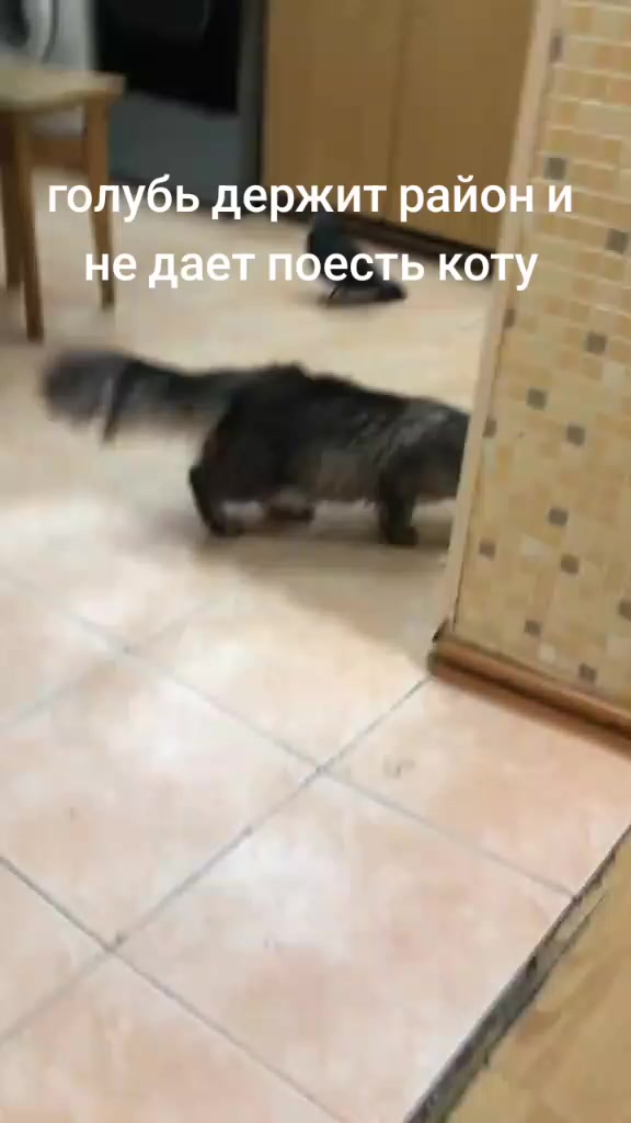@Имя