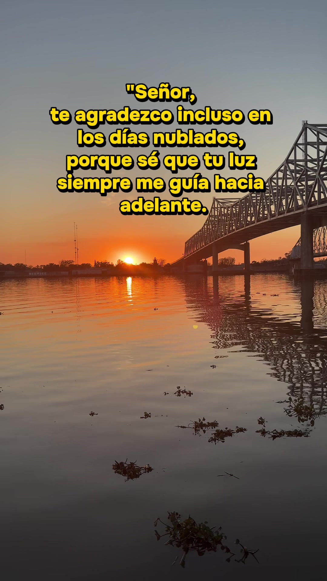 @monik19gar